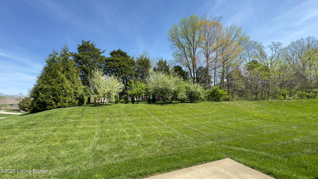 Building Photo - 17013 Green Crest Ln