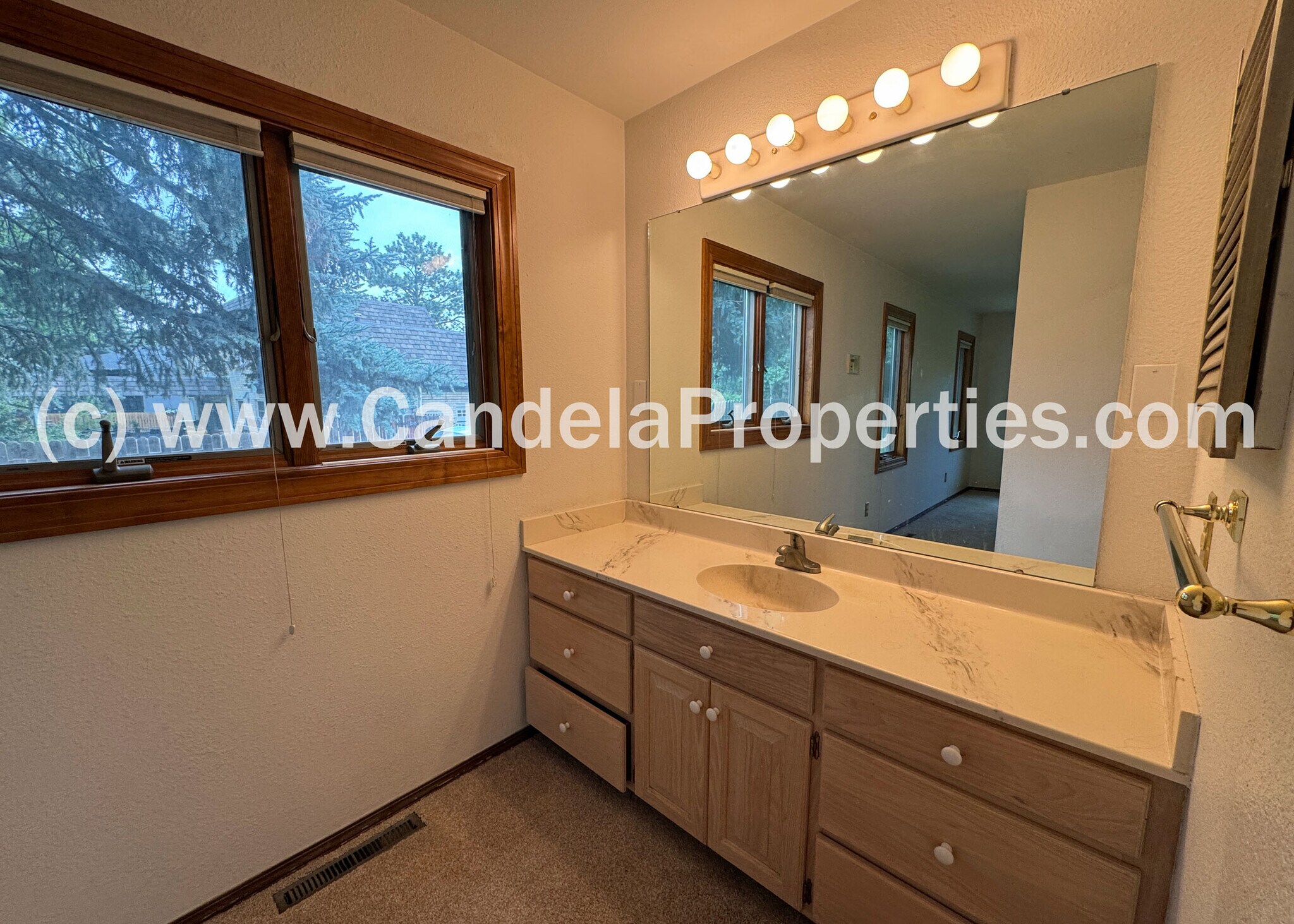 Building Photo - 2970 Shoreham Cir