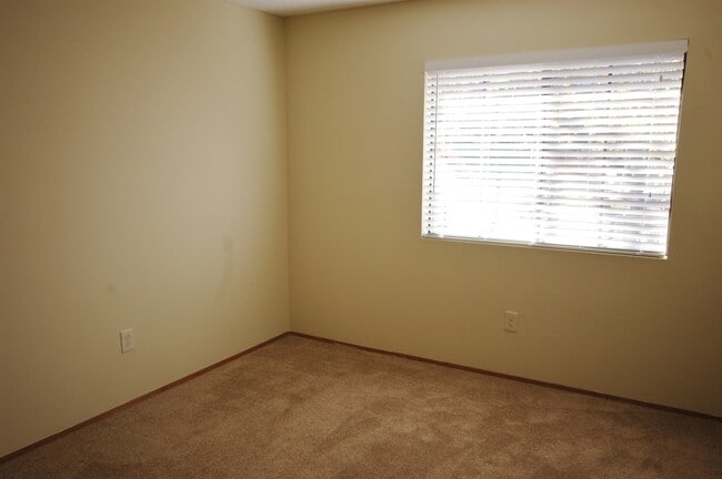 Building Photo - Charming Carlsbad Condo available