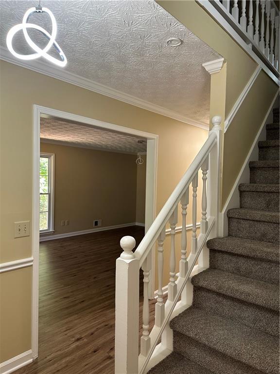 Building Photo - 3305 Maple Ridge Ct