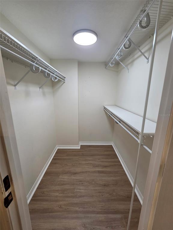 Building Photo - 6619 Buttonbush Ct