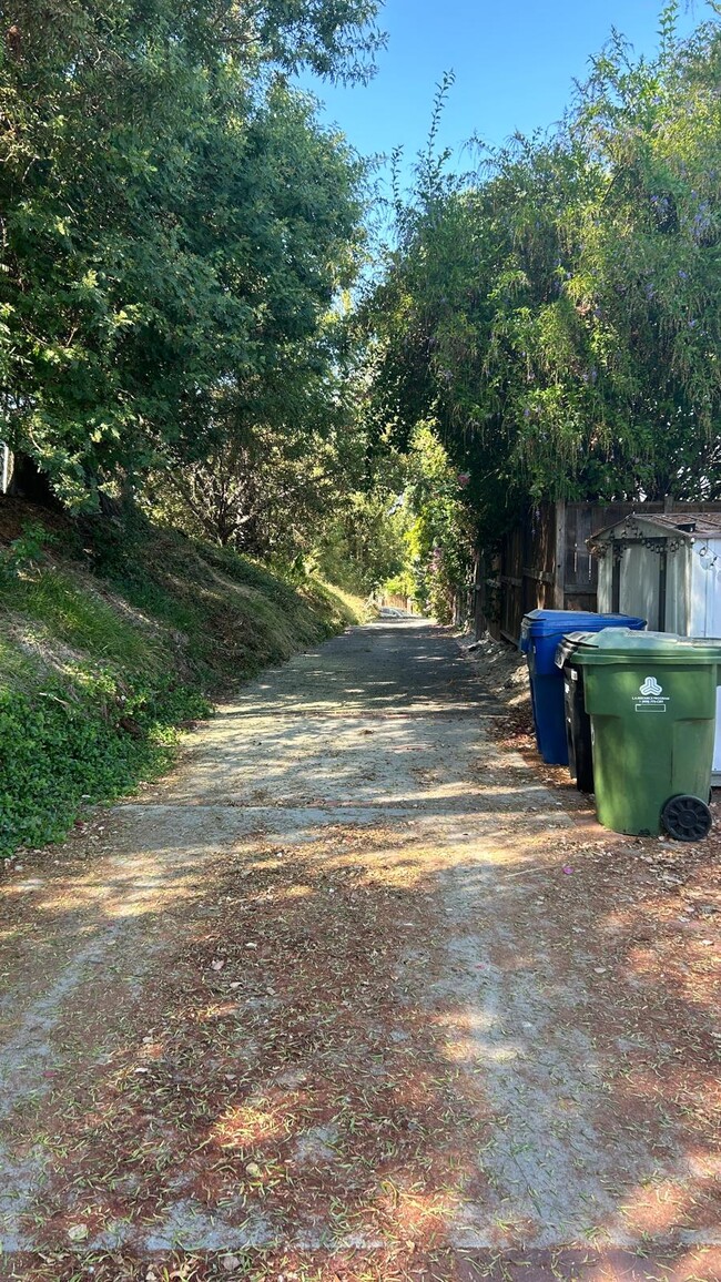 Driveway to the house - 5130 Cerrillos Dr