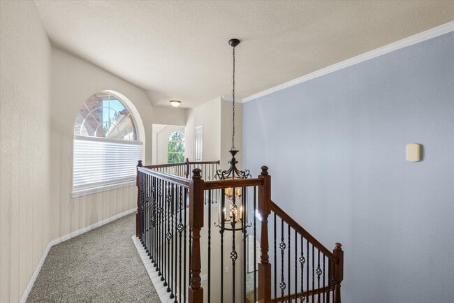 Building Photo - 4519 Countrymeadows Dr