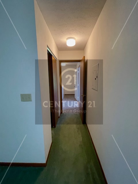 Building Photo - 323 Westview Dr