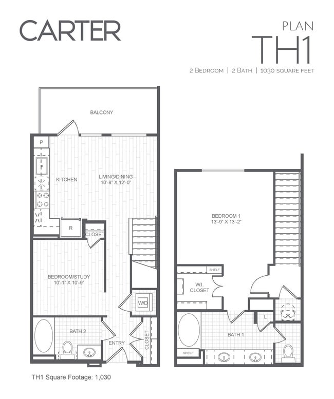 Floorplan - Carter