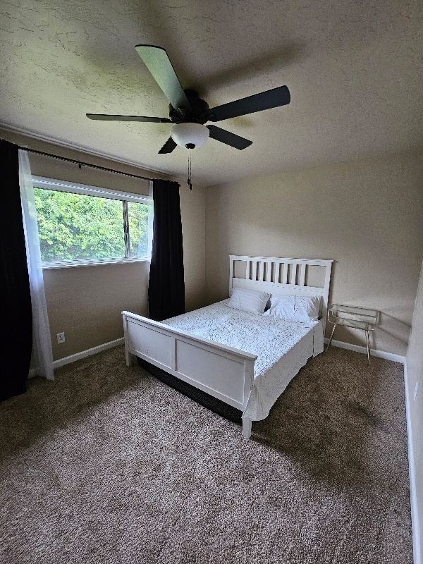 Building Photo - 590 Dee Ct