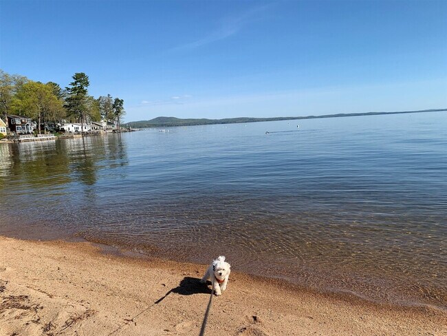 Building Photo - 46 Wards Cove Rd