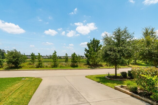 Building Photo - 71 Springtime Creek Dr