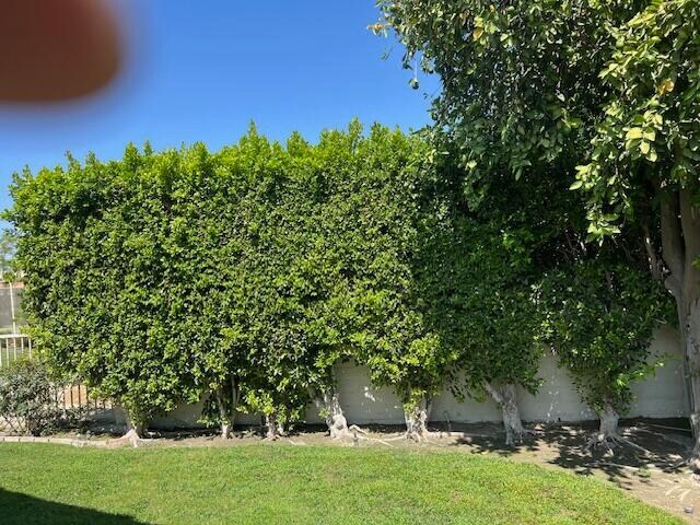 Building Photo - 43852 Vía Palma