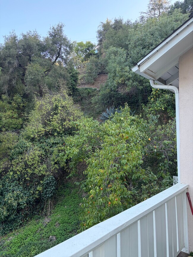 Building Photo - 1552 Crater Ln