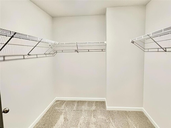 Building Photo - 4249 Tin Hare Ln