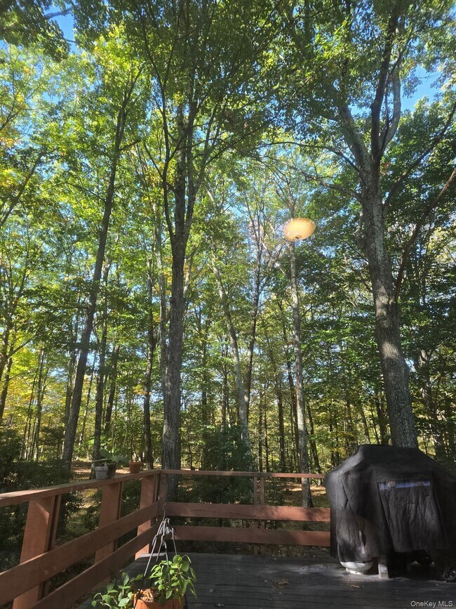 Building Photo - 37 Hill Rd