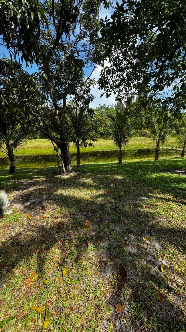 Building Photo - 11822 Island Lakes Ln