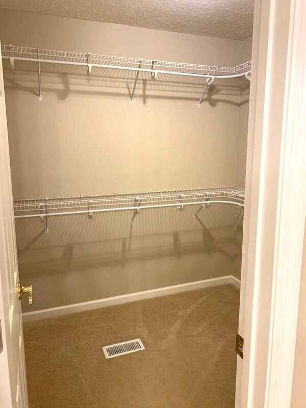 Building Photo - 220 Buck Point Ct