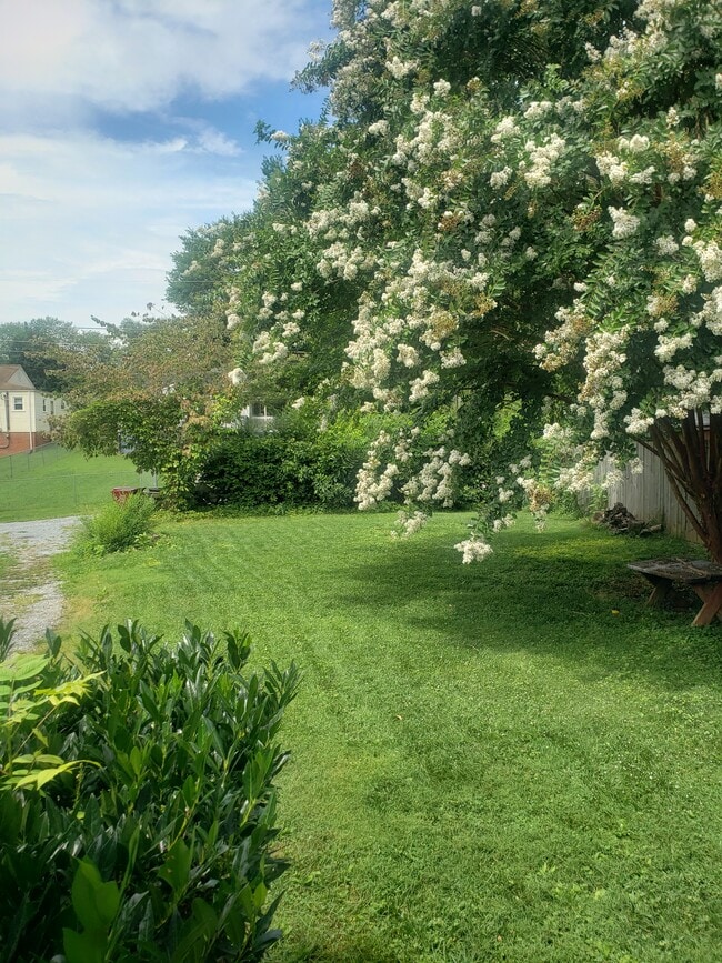 Building Photo - 907 E Holston Ave