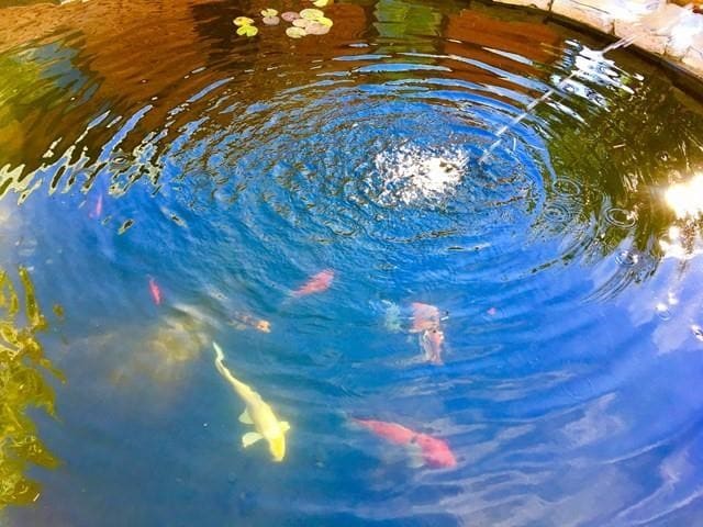 Building Photo - 802 Howe St