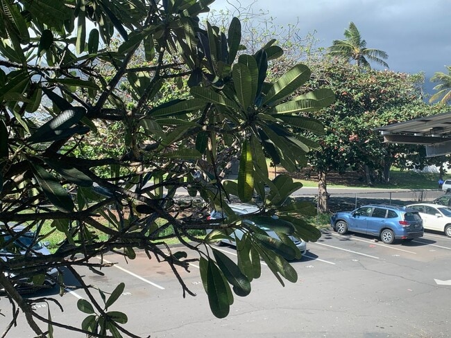 Building Photo - 111 Kahului Beach Rd