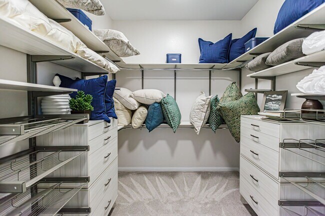 Building Photo - One Story Model Home