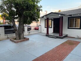 Privet Front yard - 14224 Friar St