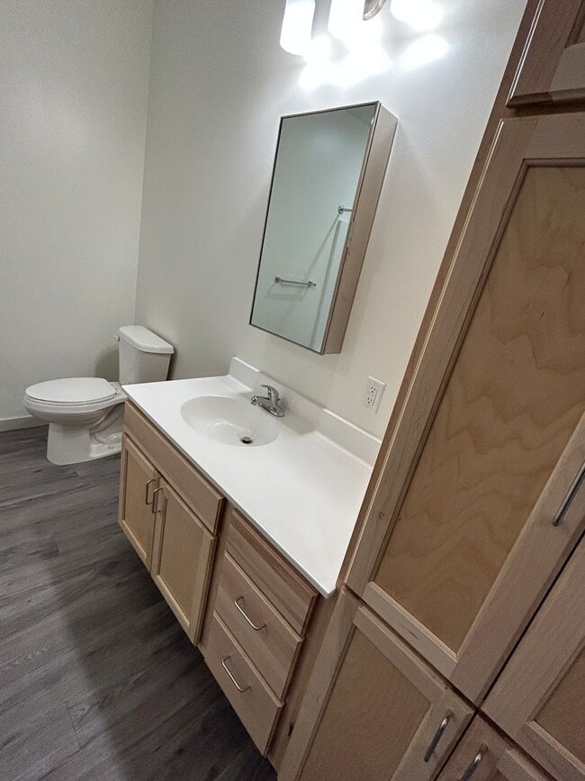 Building Photo - Studio Unit at Tiller+Main