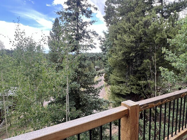 Building Photo - Beautiful Home in Echo Hills!