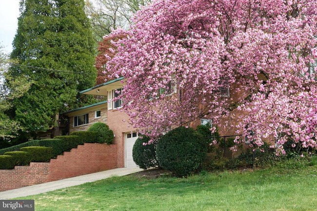 Building Photo - 6716 Tulip Hill Terrace