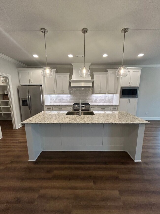 Building Photo - Beautiful Modern Home in Pea Ridge!