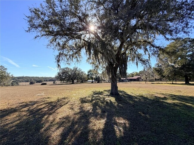 Building Photo - 35324 Blanton Rd