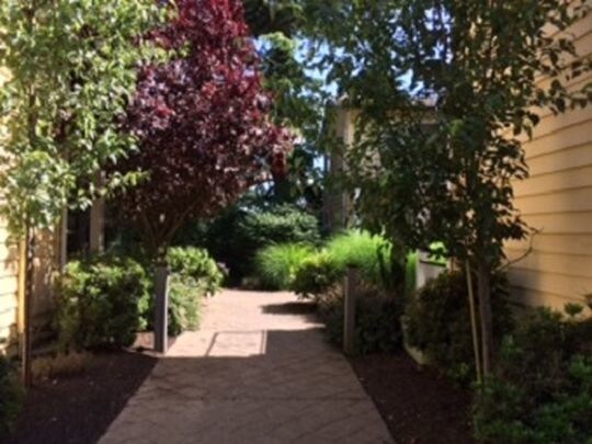 Entry Path - 3543 SW Troy St