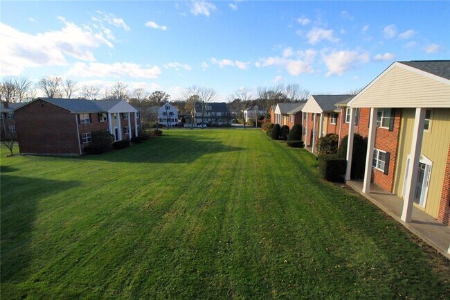 Backyard. - 70 Carroll Ave