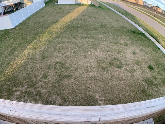 Building Photo - 4 Bed 3 Bath Single Family Home