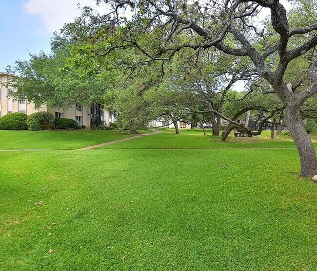 Building Photo - 5326 Balcones Dr