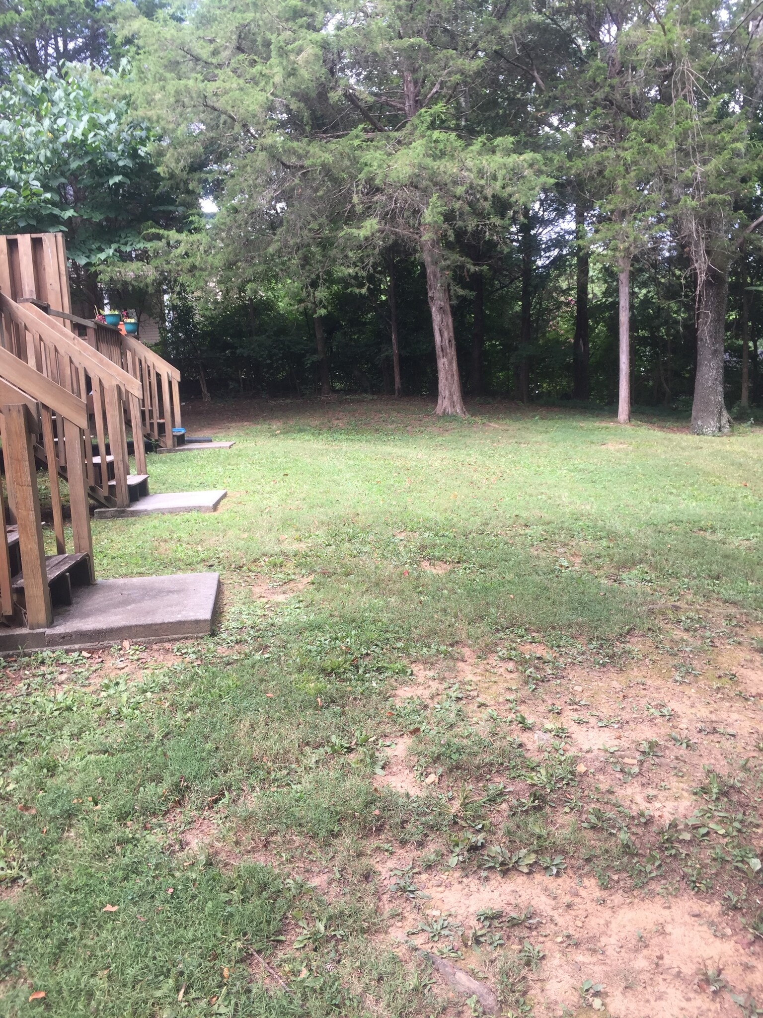 Back yard and porch - 2002 Belle Terra Rd