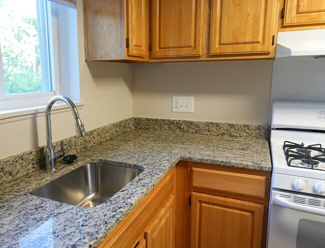 Kitchen Sink (Granite Counters) - 1663 N Forest Park Ave