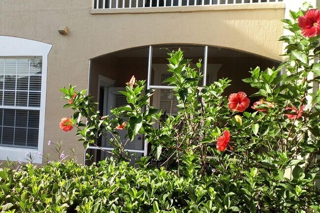 Building Photo - 2307 Butterfly Palm Way