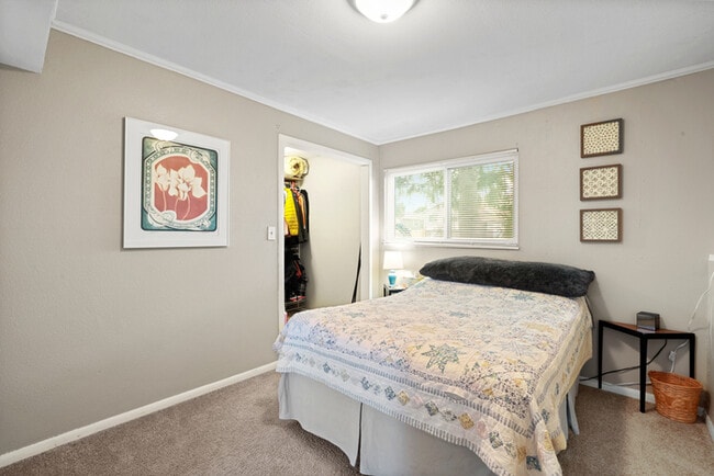 Building Photo - 4806 Turquoise Circle Colorado Springs, CO...