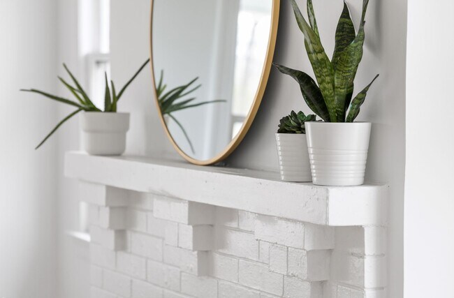 Building Photo - Charming + Modern Highland Park Home - 3 Beds, 2 Baths, Fenced Yard, + Plenty of Parking!