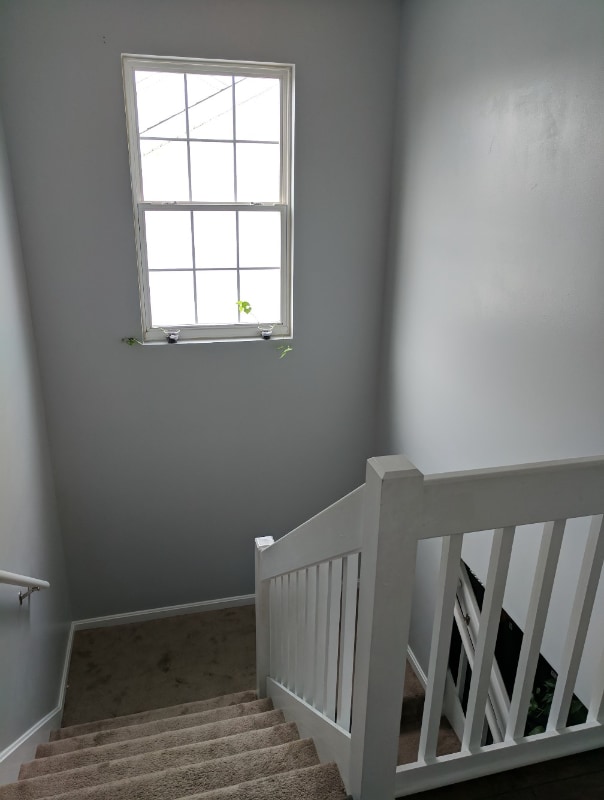 Building Photo - 8407 Arbor Meadow Way