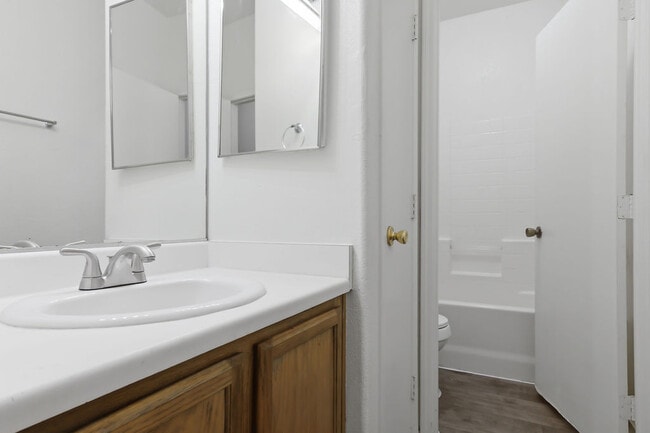 Building Photo - 2529 Rainbow Cactus Ct