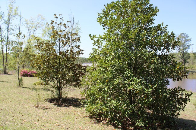 Building Photo - 818 W Grantville Rd