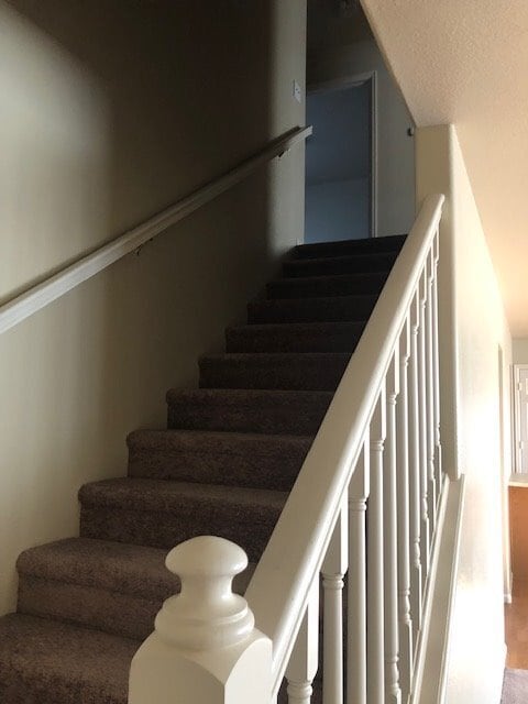 Building Photo - 513 Desmet Dr
