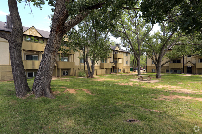 Picnic Area - Spring Ridge Village