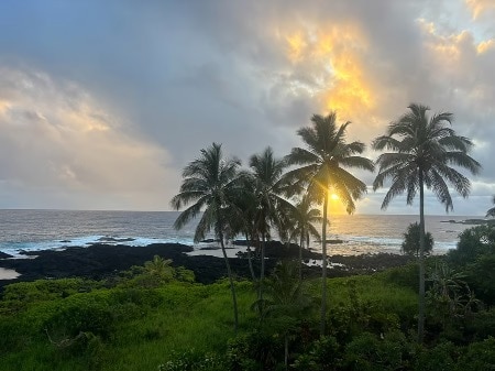 Building Photo - 2405 Kalanianaole St