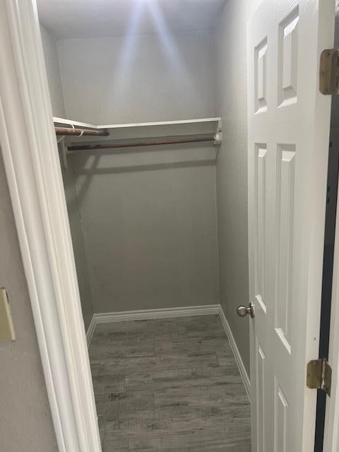 Building Photo - 9109 Japonica Ct