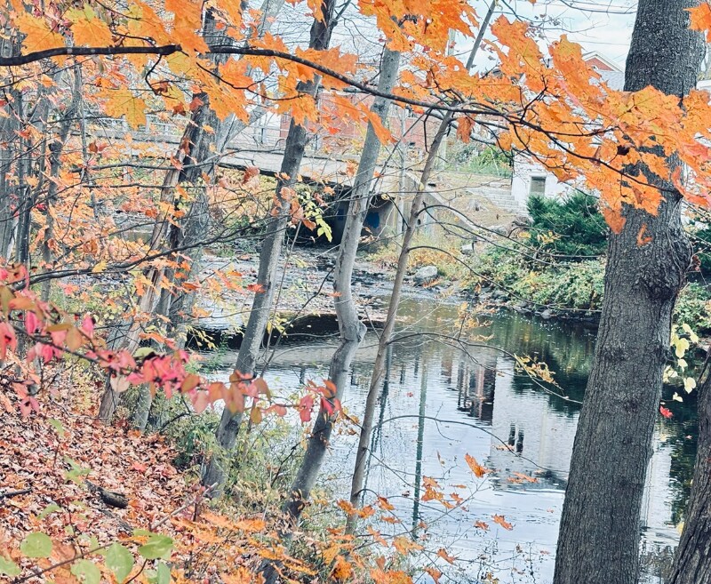 Building Photo - 43 Kent Hills Ln