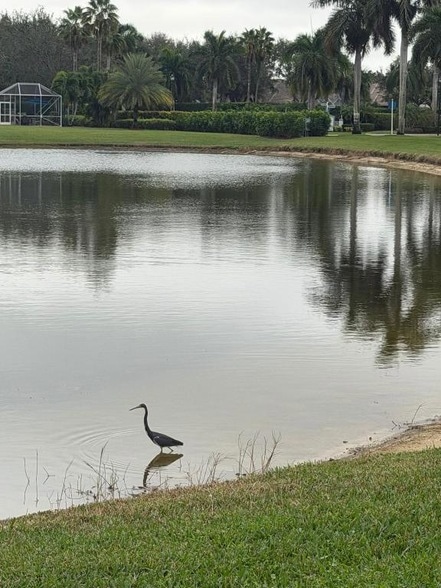 Building Photo - 9391 Bridgeport Dr