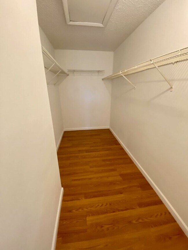 Building Photo - 351 Palm Way