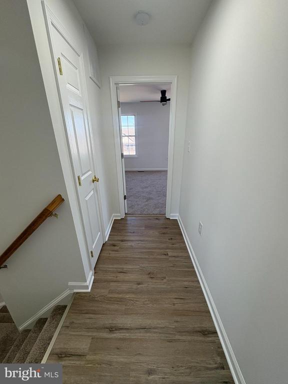 Building Photo - 55 Fuzzy Tail Dr