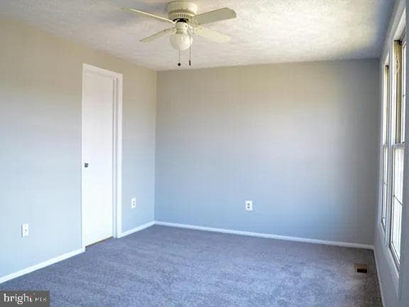 Building Photo - 49 Rocky Brook Ct