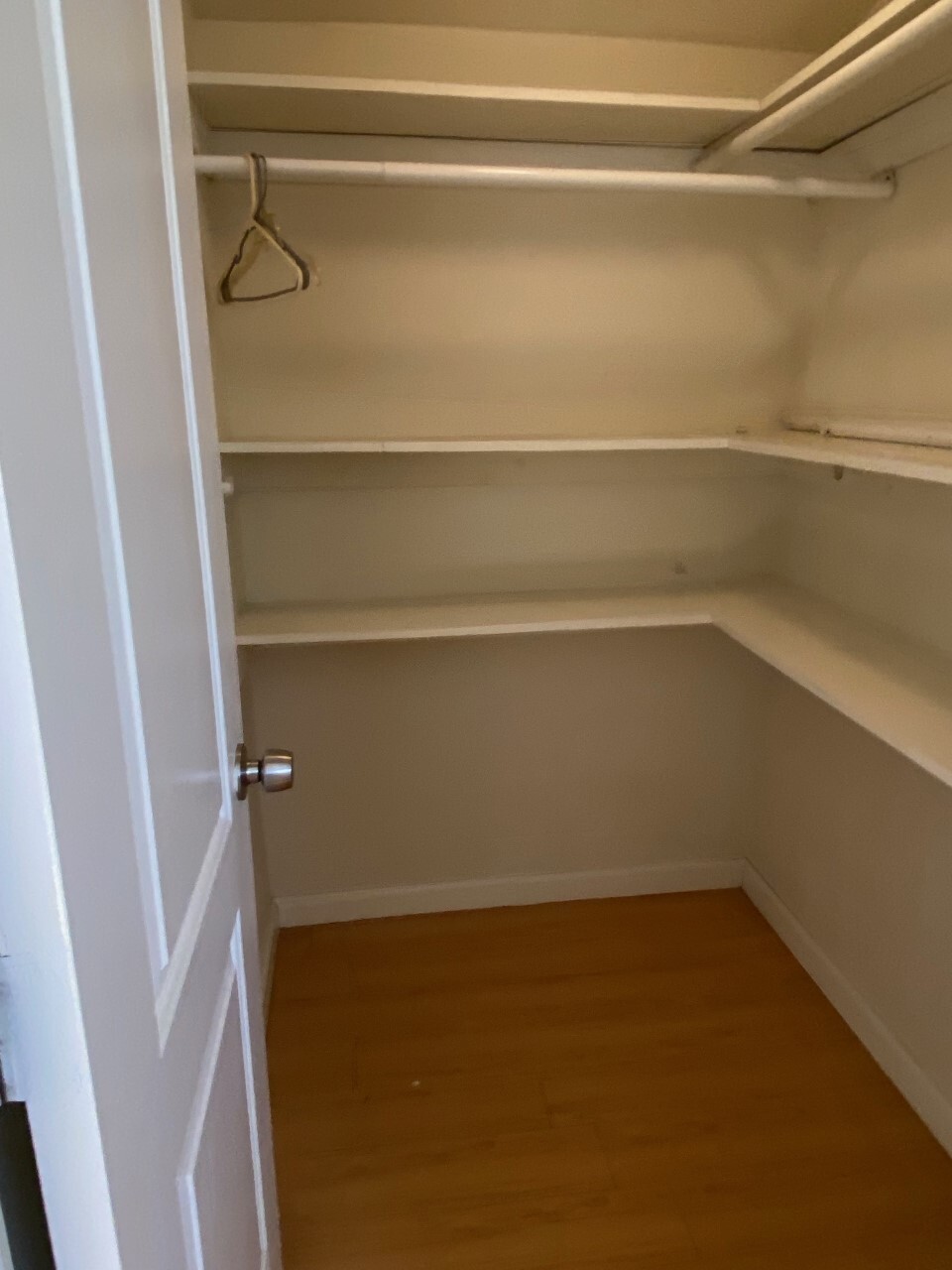 walk in closet - 654 W Lexington Dr